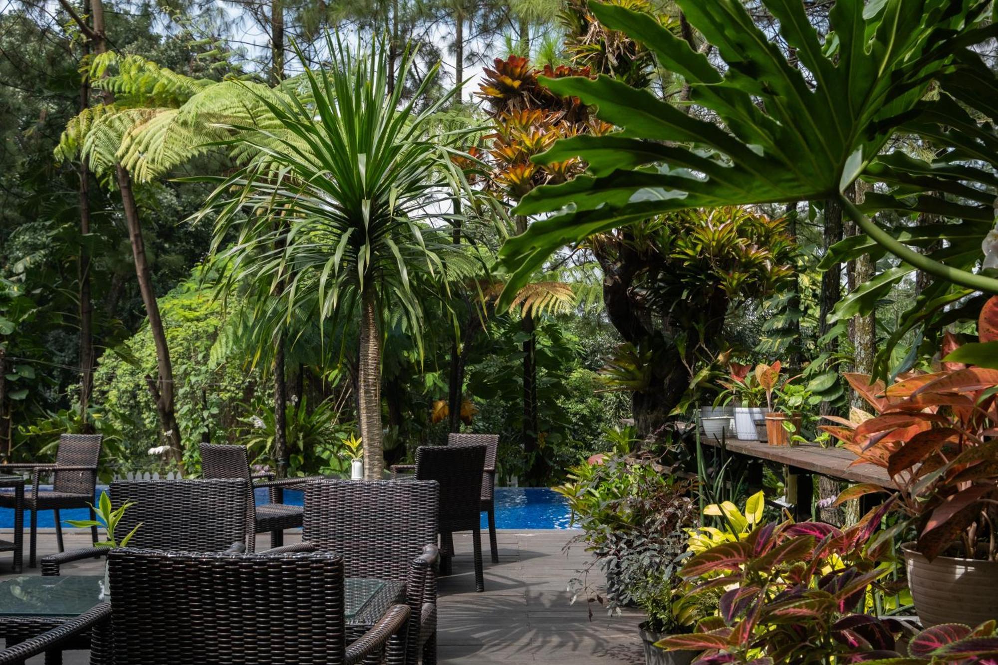 House Sangkuriang Hotel Bandung Exterior foto